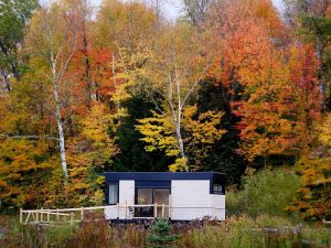 Wheel Pad wheelchair accessible tiny house. in a field with autumn leaves.