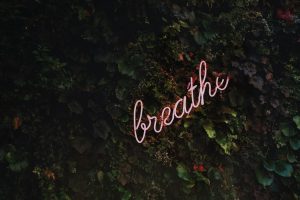Neon sign reading "breathe" in trees